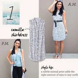 Cabi camilla shirtdress shop